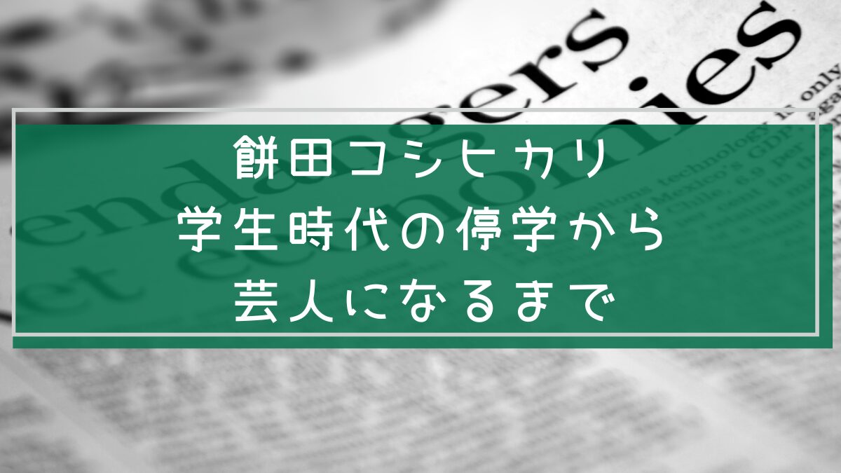 餅田コシヒカリの経歴がわかる画像