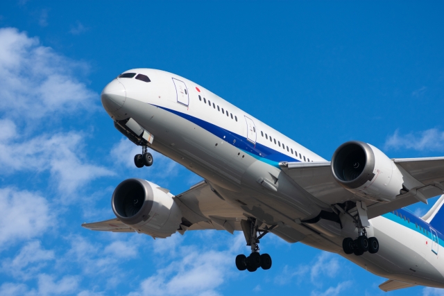 飛行機が空を飛んでいる画像