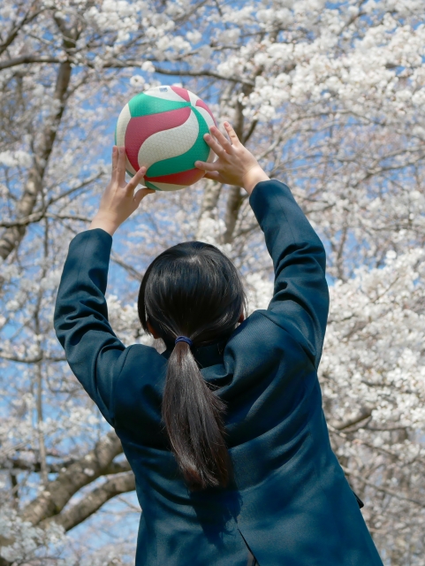 桜の木の下でバレーボールをする女の子の画像