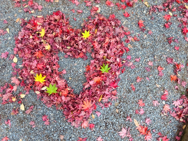 紅葉でハートを作った画像