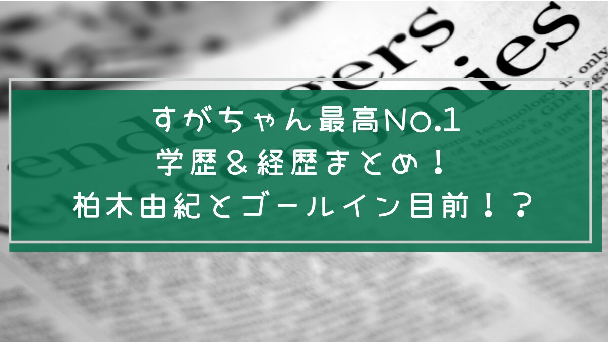 すがちゃん最高No.1の学歴や経歴を説明した画像