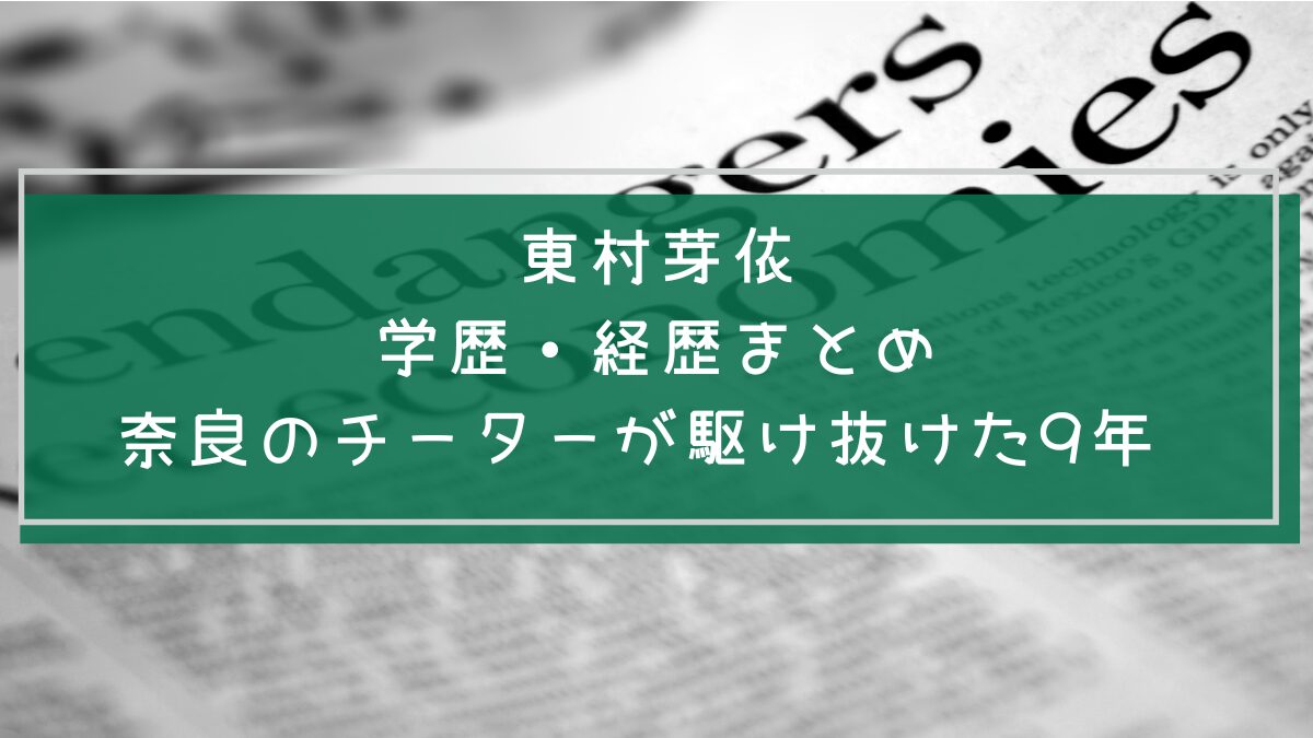 東村芽依の学歴や経歴を説明した画像