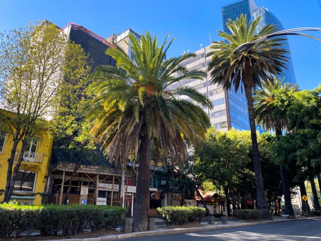 メキシコシティの街並みの画像