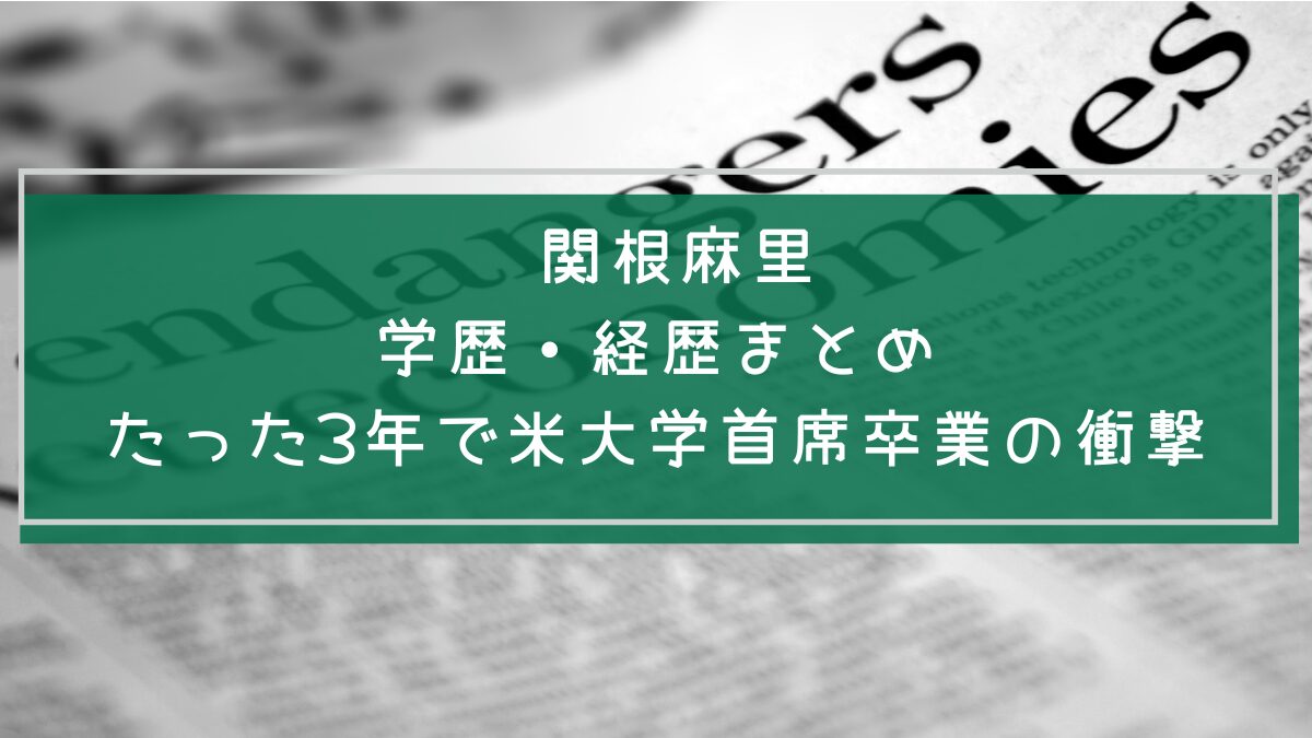 関根麻里の学歴や経歴を説明した画像
